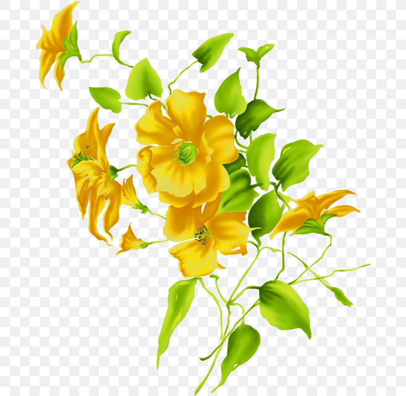 Flower Yellow Clip Art, PNG, 676x800px, Flower, Cut Flowers, Drawing, Floral Design, Floristry Download Free