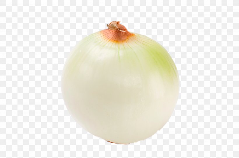 Onion Fruit, PNG, 3000x1993px, Onion, Food, Fruit Download Free