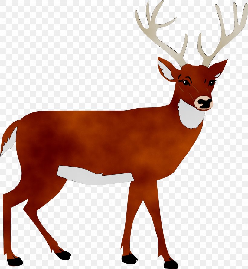 White-tailed Deer Clip Art Silhouette, PNG, 1927x2092px, Deer, Antelope, Antler, Art, Deer Hunting Download Free