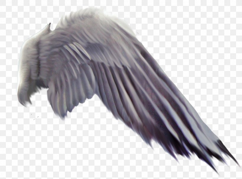 Bird Flight Wing Vulture, PNG, 900x665px, Bird, Angel, Beak, Bird Flight, Bird Of Prey Download Free