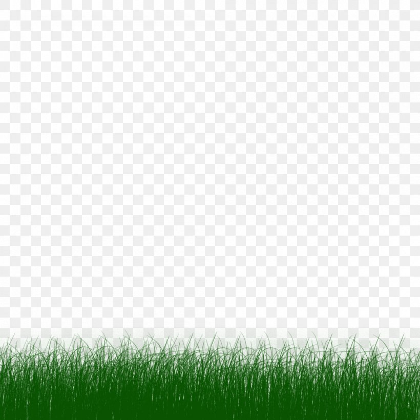 Clip Art, PNG, 1000x1000px, Animation, Blog, Cartoon, Field, Grass Download Free