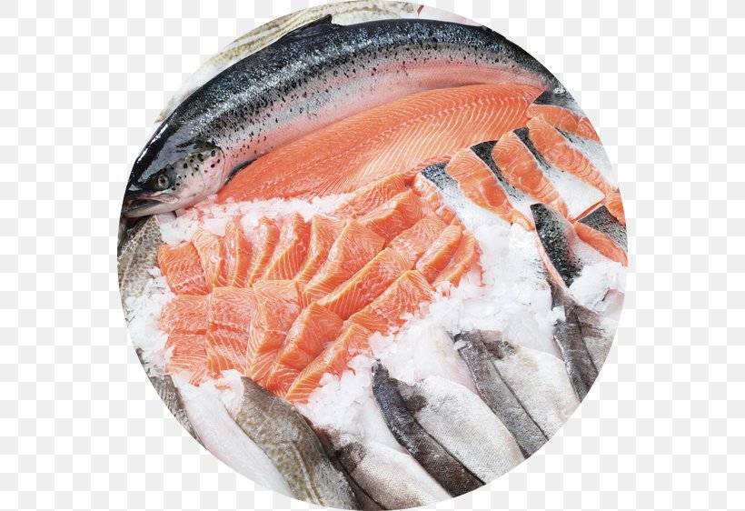 Frozen Food Fish Defrosting Seafood Freezing, PNG, 562x562px, Frozen Food, Animal Source Foods, Cooking, Defrosting, Fish Download Free