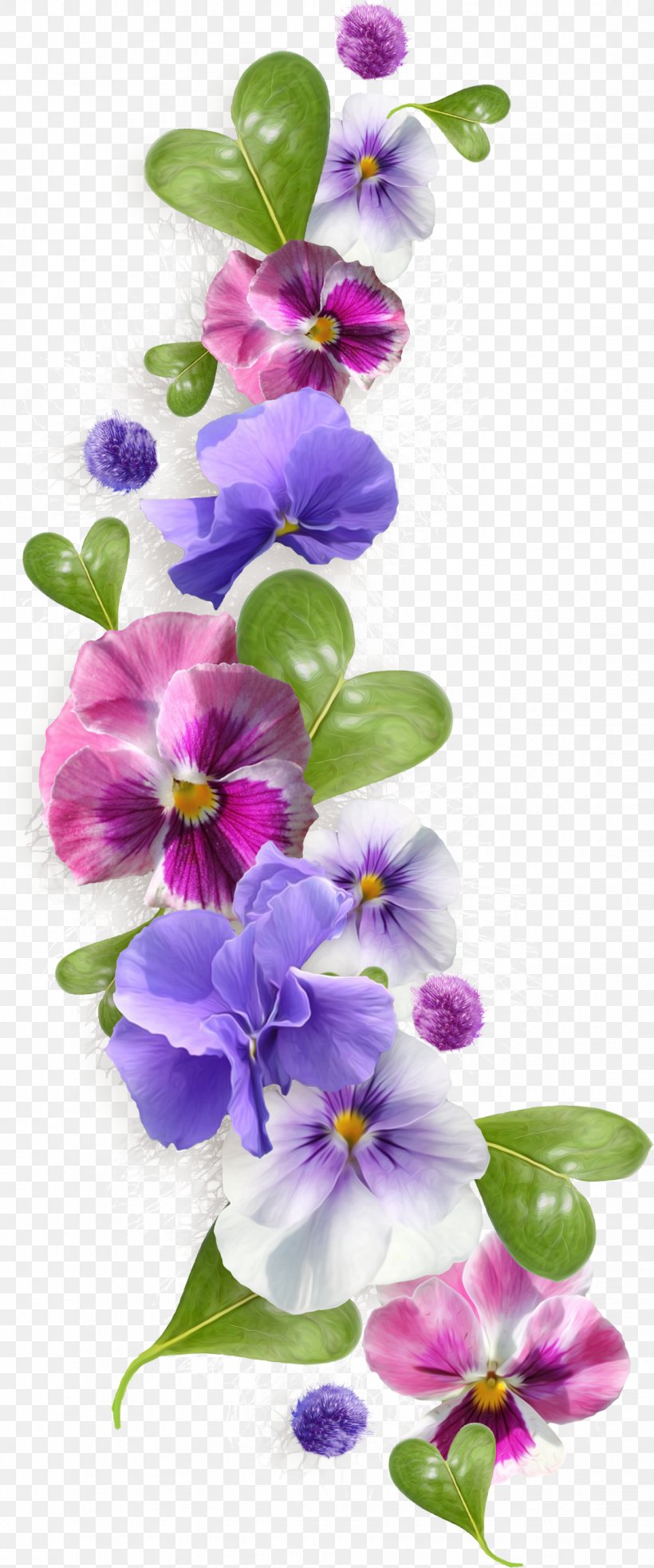 Sweet Violet Pansy African Violets Clip Art, PNG, 1131x2710px, Sweet Violet, African Violets, Dendrobium, Drawing, Floral Design Download Free