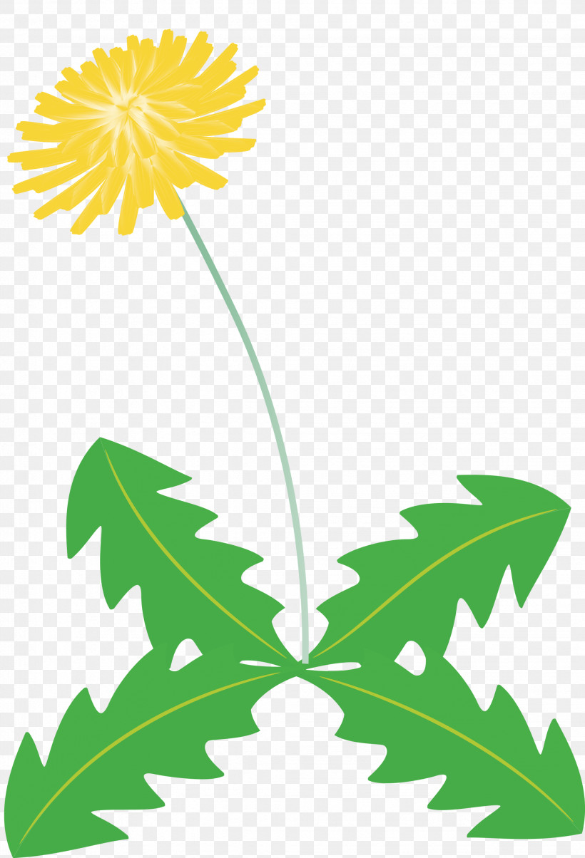 Dandelion Flower, PNG, 2043x3000px, Dandelion Flower, Branch, Common Daisy, Daisy Family, Floral Design Download Free