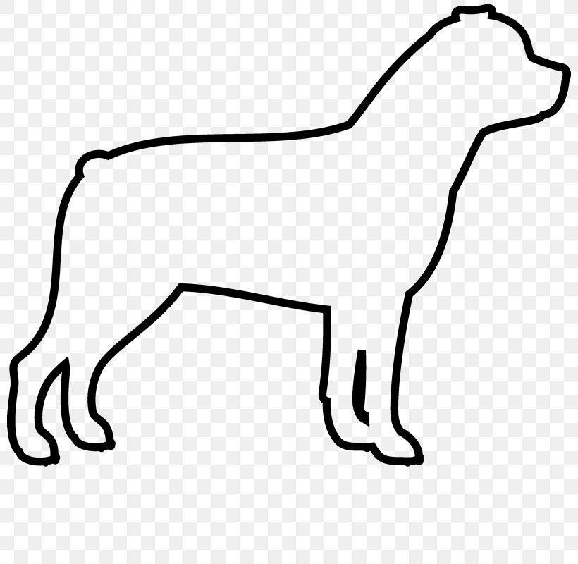 Labrador Retriever Boxer Clip Art American Pit Bull Terrier Newfoundland Dog, PNG, 800x800px, Labrador Retriever, American Pit Bull Terrier, Boxer, Breed, Canidae Download Free