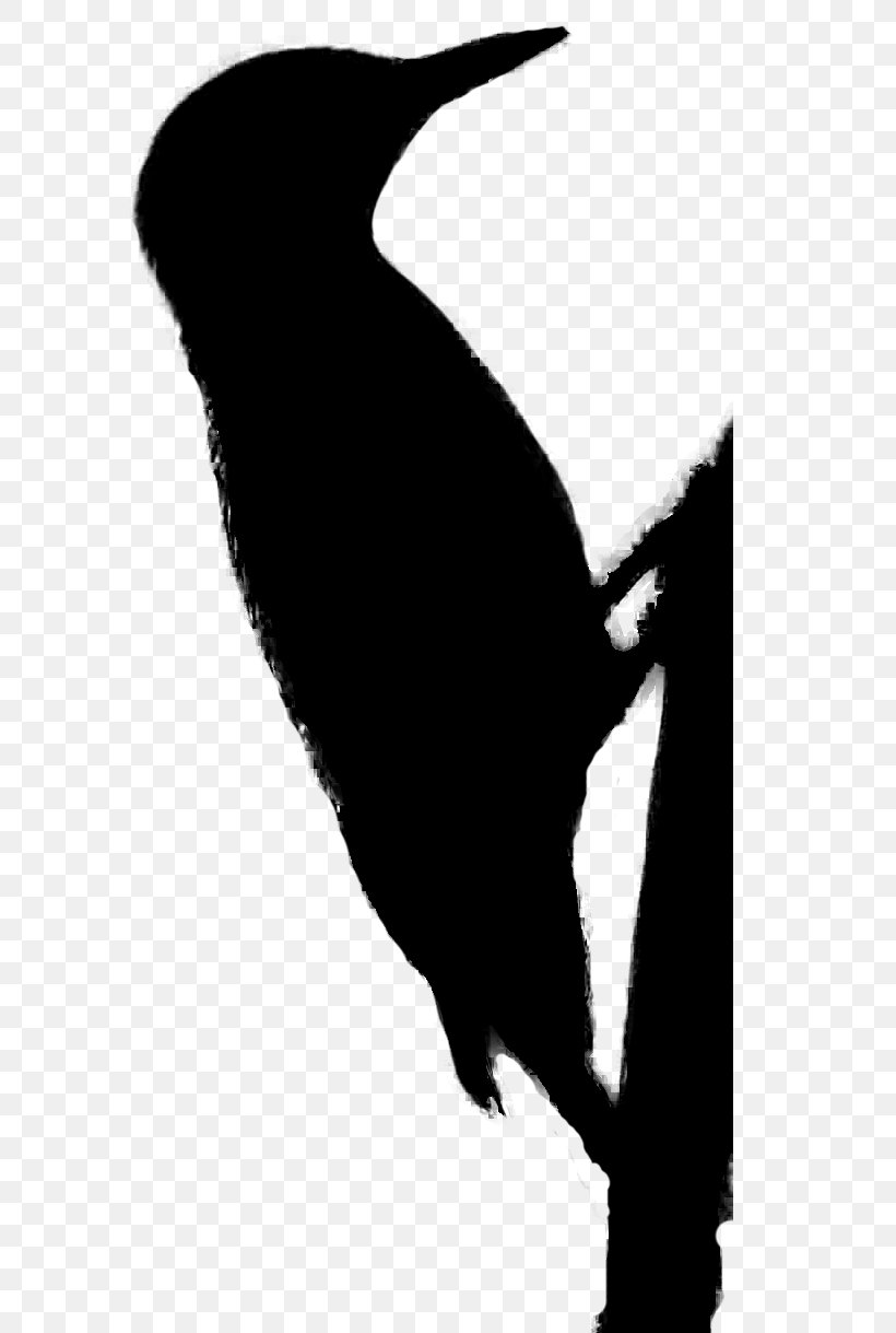 Beak Flightless Bird Clip Art Silhouette, PNG, 585x1219px, Beak, Bird, Blackandwhite, Flightless Bird, Silhouette Download Free
