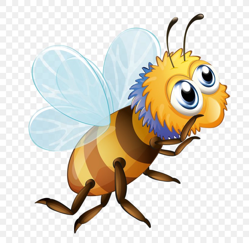 Popcorn Honey Bee Caramel Corn Candy Corn, PNG, 748x800px, Popcorn, Animation, Arthropod, Bee, Candy Download Free