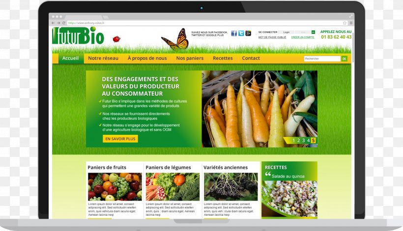 Web Page Display Advertising Multimedia, PNG, 1897x1091px, Web Page, Advertising, Display Advertising, Grass, Media Download Free