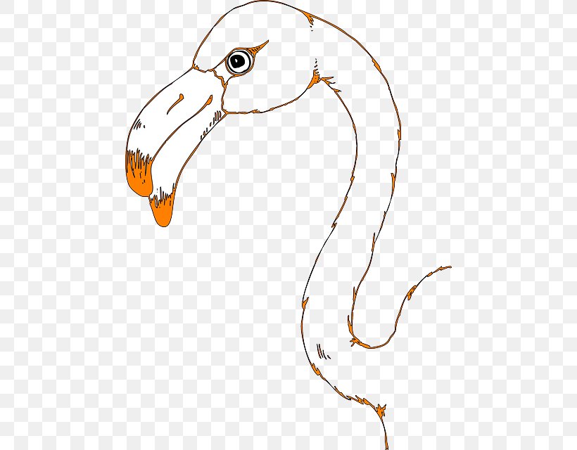 Bird Flamingo Whooping Crane Clip Art, PNG, 464x640px, Bird, Animal, Area, Art, Artwork Download Free