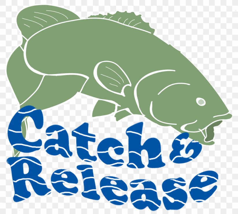 Catch And Release Bass Fishing Bass Fishing Clip Art, PNG, 1076x970px, Catch And Release, Area, Artwork, Bass, Bass Fishing Download Free