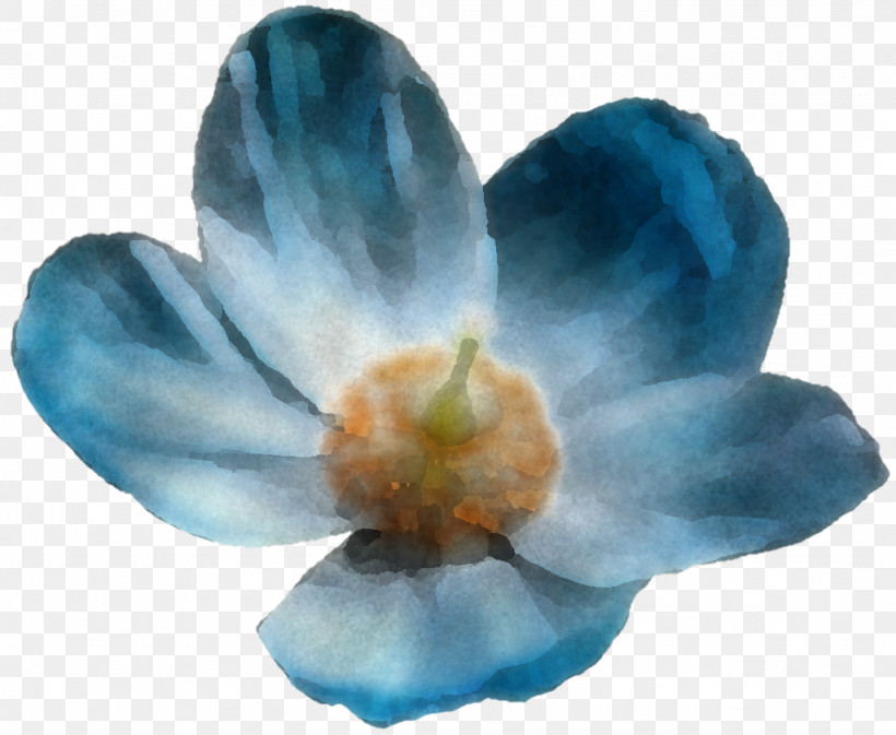 Flower Petal Turquoise Cobalt Blue Turquoise, PNG, 1024x841px, Flower, Biology, Cobalt, Cobalt Blue, Microsoft Azure Download Free