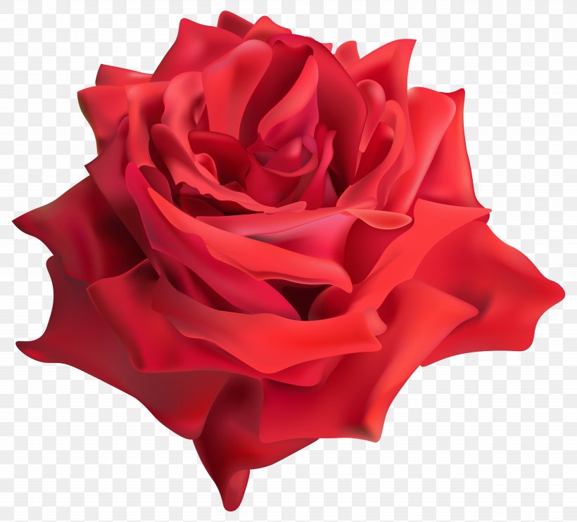 Garden Roses Clip Art, PNG, 8000x7240px, Beach Rose, Cut Flowers, Digital Image, Flower, Flowering Plant Download Free