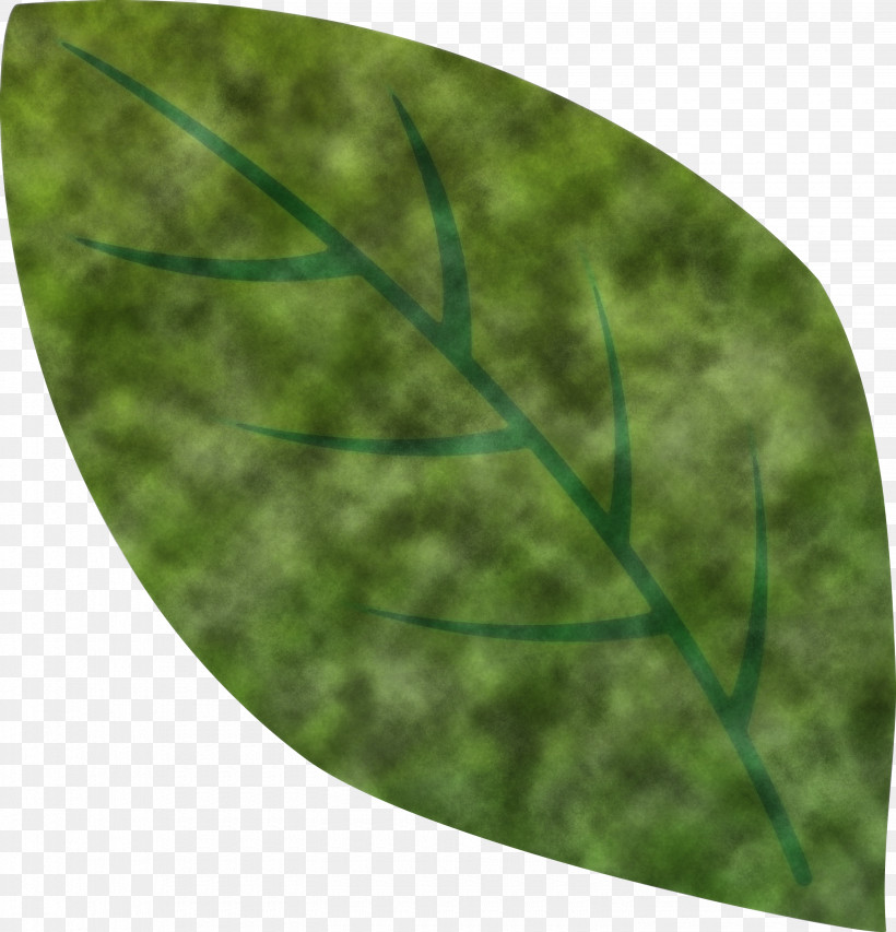 Leaf, PNG, 2880x2999px, Leaf, Fern, Grass, Green, Plant Download Free