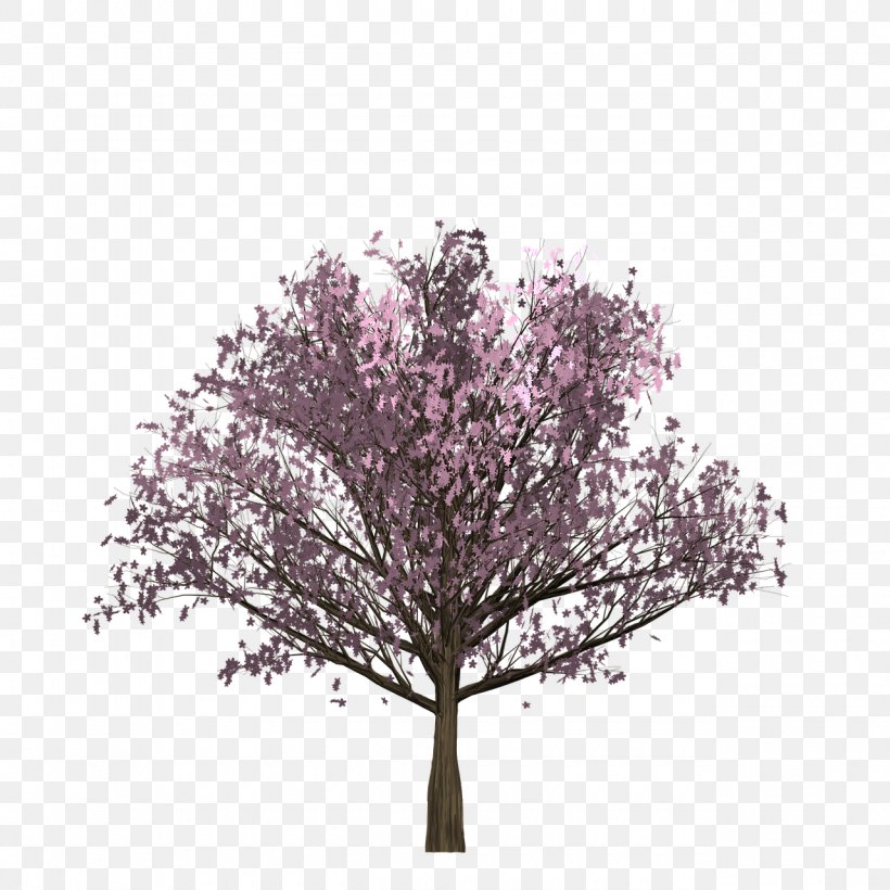 Vector Graphics Stock Photography Euclidean Vector Image, PNG, 1280x1280px, Photography, Alamy, Blossom, Branch, Cherry Blossom Download Free