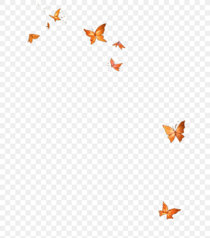 Butterfly Template Icon, PNG, 658x928px, Butterfly, Area, Butterflies And Moths, Insect, Invertebrate Download Free
