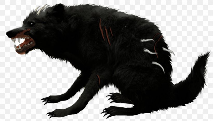 Canidae Dog Werewolf Snout Fur, PNG, 900x513px, Canidae, Carnivoran, Dog, Dog Like Mammal, Fauna Download Free