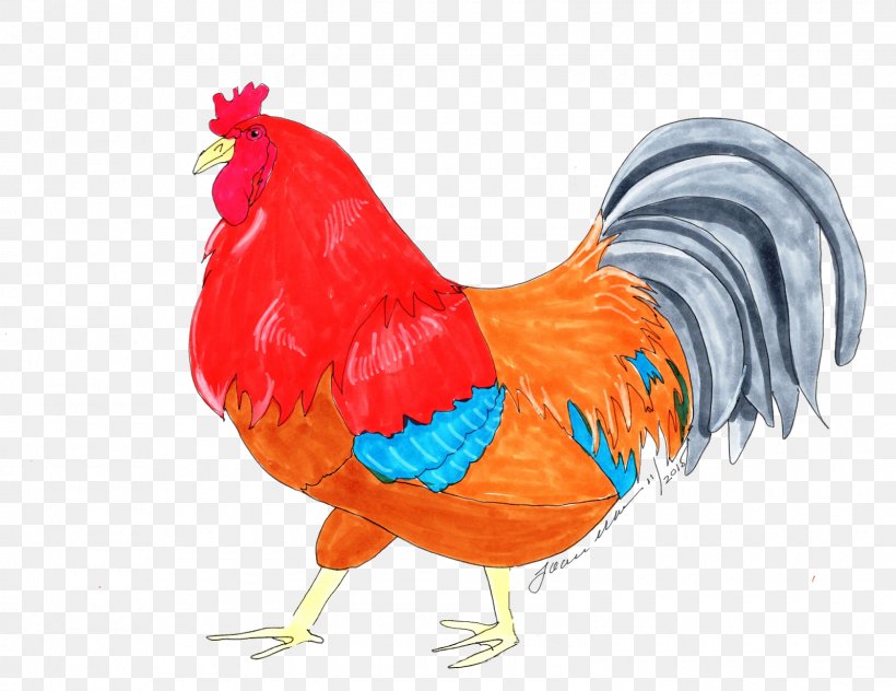 Chicken Cartoon, PNG, 1600x1234px, Rooster, Beak, Bird, Chicken, Comb Download Free
