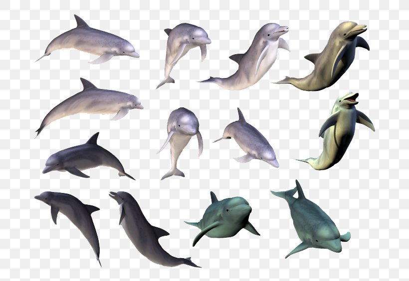 Dolphin Painting Clip Art, PNG, 760x565px, Dolphin, Abziehtattoo, Animal, Common Bottlenose Dolphin, Fauna Download Free