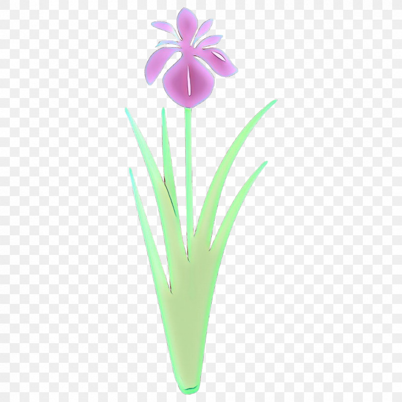 Flower Plant Petal Iris Flowerpot, PNG, 1200x1200px, Flower, Flowerpot, Iris, Pedicel, Petal Download Free