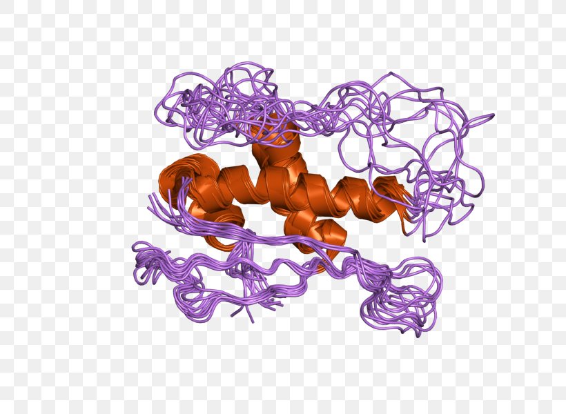 Protein SNX1 Sortilin 1 Gene Retromer, PNG, 800x600px, Protein, Cell, Chromosome 15 Human, Endosome, Gene Download Free