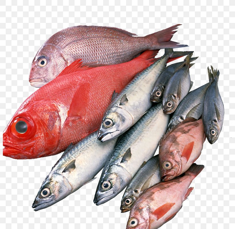 Japanese Cuisine Seafood Fish, PNG, 800x800px, Japanese Cuisine, Anchovy, Animal Source Foods, Fish, Fish Products Download Free