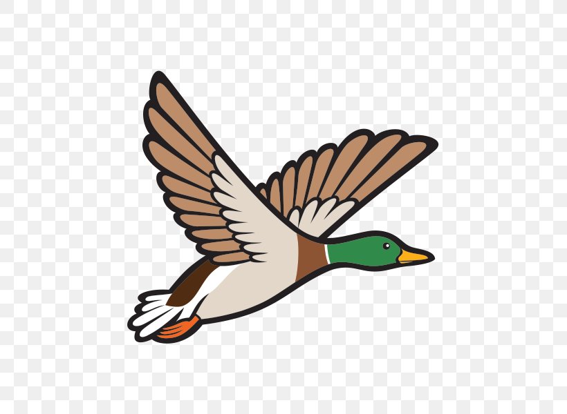 Mallard Duck Bird Clip Art, PNG, 600x600px, Mallard, Beak, Bird, Duck, Ducks Geese And Swans Download Free