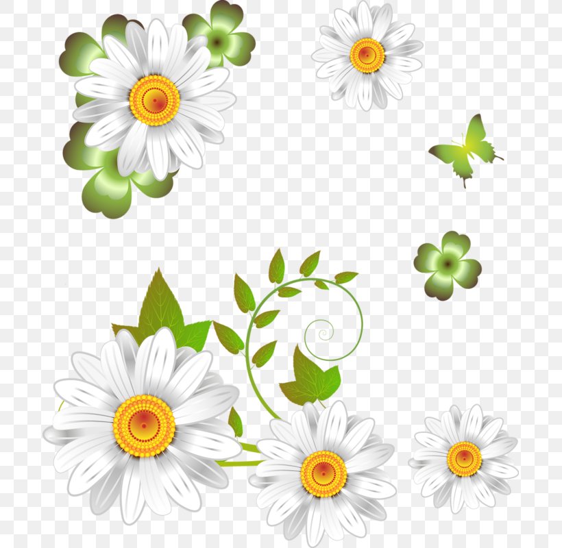 Oxeye Daisy German Chamomile Flower, PNG, 695x800px, Oxeye Daisy, Annual Plant, Anthemis, Chamaemelum, Chamaemelum Nobile Download Free