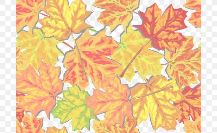 Autumn Leaf Color Clip Art, PNG, 700x504px, Watercolor, Cartoon, Flower, Frame, Heart Download Free