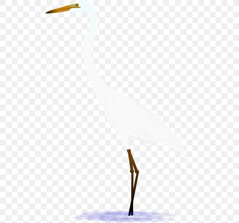 Egret Seabird Beak Wader, PNG, 509x767px, Egret, Beak, Bird, Ciconiiformes, Crane Download Free