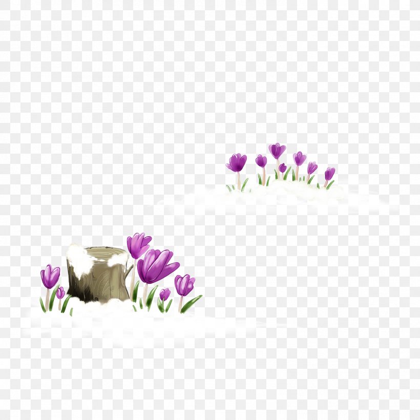 Flower Tulip, PNG, 1501x1501px, Flower, Designer, Lilac, Magenta, Petal Download Free