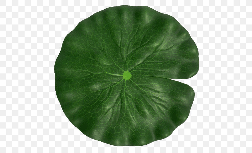 Leaf Green Flower Plant Symbol, PNG, 500x500px, Leaf, Annual Plant, Flower, Green, Perennial Plant Download Free