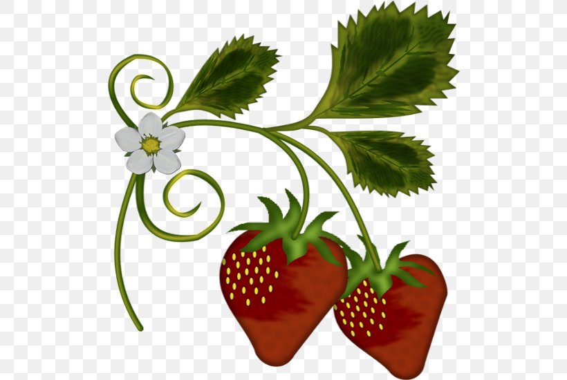Strawberry Tree Amorodo Clip Art, PNG, 510x550px, Strawberry, Amorodo, Berry, Flower, Flowerpot Download Free