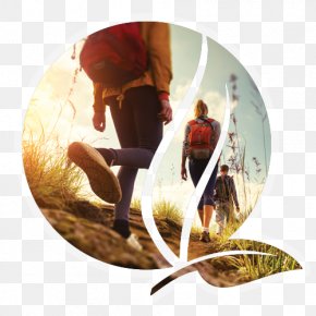 Landed Property - Hiking Outdoor Recreation Camping Poiana Rest Step PNG