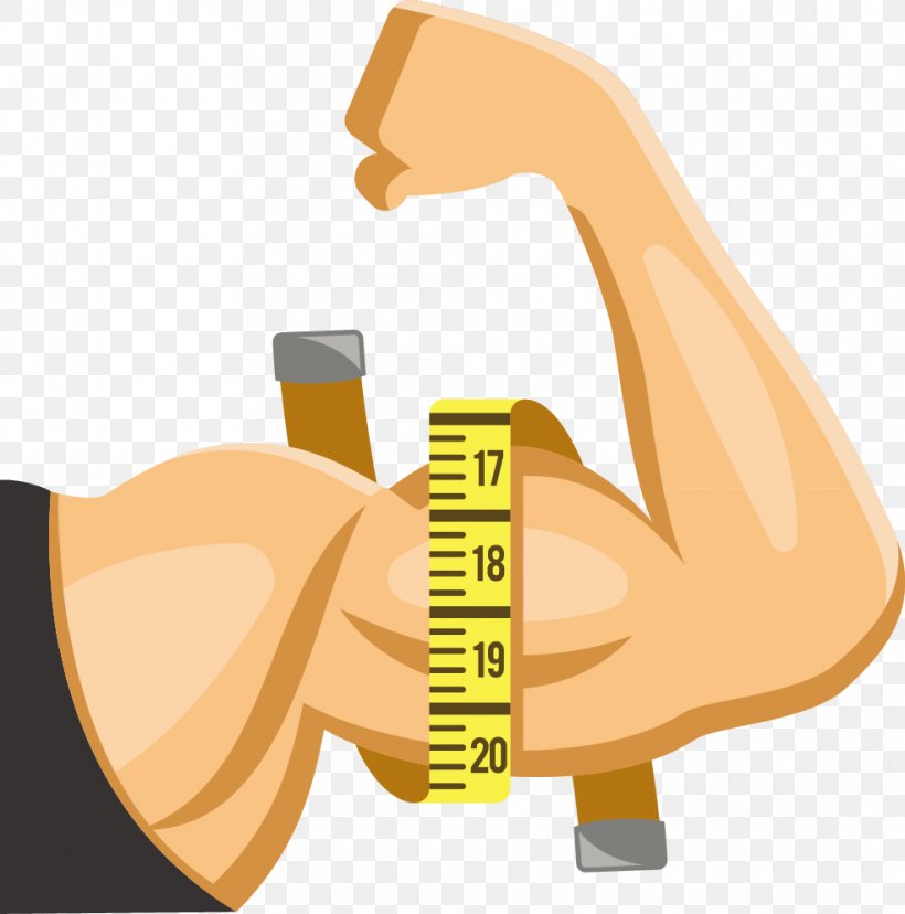 Muscle Arms Muscle Arms Thumb, PNG, 985x995px, Muscle, Arm, Biceps, Bodybuilding, Cartoon Download Free