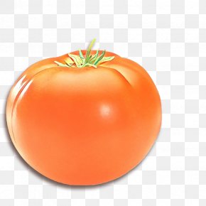 Vegan Nutrition Bush Tomato - Orange PNG