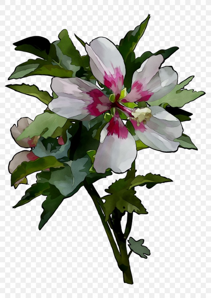 Cut Flowers Floral Design Herbaceous Plant, PNG, 1098x1553px, Cut Flowers, Artificial Flower, Blossom, Bouquet, Floral Design Download Free