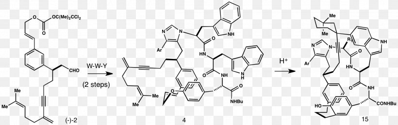 Estrogen Receptor Beta /m/02csf Chemical Compound Benzopyran, PNG, 2320x734px, Watercolor, Cartoon, Flower, Frame, Heart Download Free