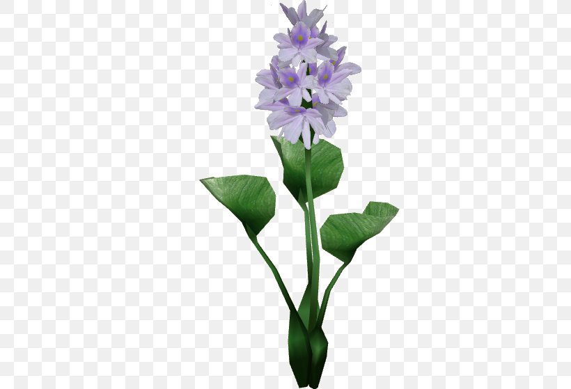 Hyacinthus Orientalis Egyptian Lotus Flower Common Water Hyacinth Plant, PNG, 559x559px, Hyacinthus Orientalis, Aquatic Plants, Common Water Hyacinth, Cut Flowers, Egyptian Lotus Download Free