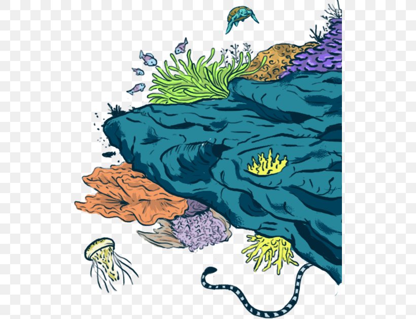 Marine Biology Marine Conservation Ecosystem Marine Mammal Fauna, PNG, 528x628px, Marine Biology, Amphibian, Art, Biology, Cartoon Download Free