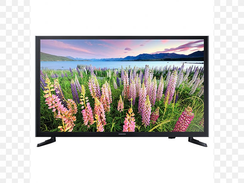 Samsung LED-backlit LCD High-definition Television 1080p Smart TV, PNG, 1600x1200px, Samsung, Display Device, Flat Panel Display, Flower, Grass Download Free