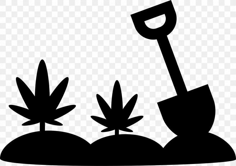 Cannabis Cultivation Medical Cannabis, PNG, 1882x1329px, Cannabis, Artwork, Black And White, Cannabidiol, Cannabis Cultivation Download Free