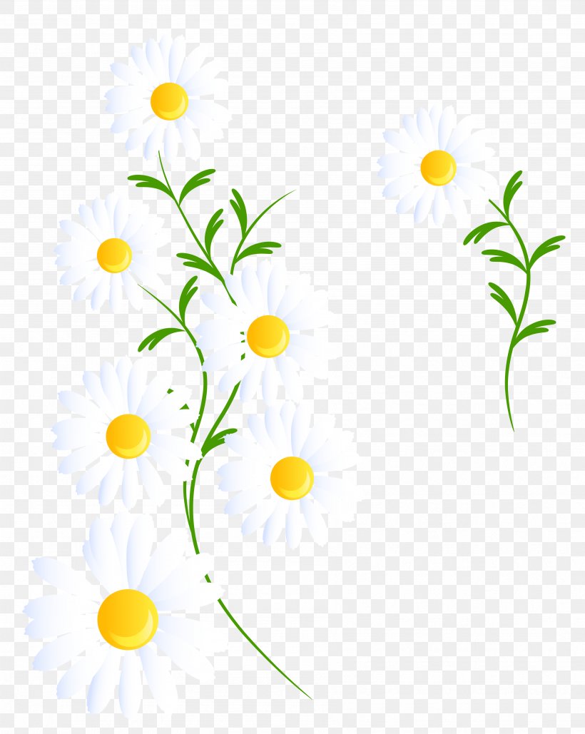 Flower Clip Art, PNG, 3584x4498px, Flower, Branch, Chamaemelum Nobile, Common Daisy, Cut Flowers Download Free