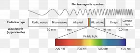 Light Absorption Melanin Hemoglobin Spectrum, PNG, 1250x800px, Light ...