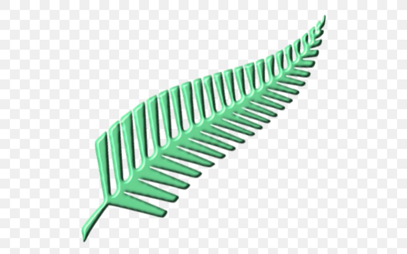 New Zealand National Rugby Union Team New Zealand National Netball Team Silver Fern Flag, PNG, 512x512px, New Zealand, Beacon, Fern, New Zealand National Netball Team, Silver Fern Download Free