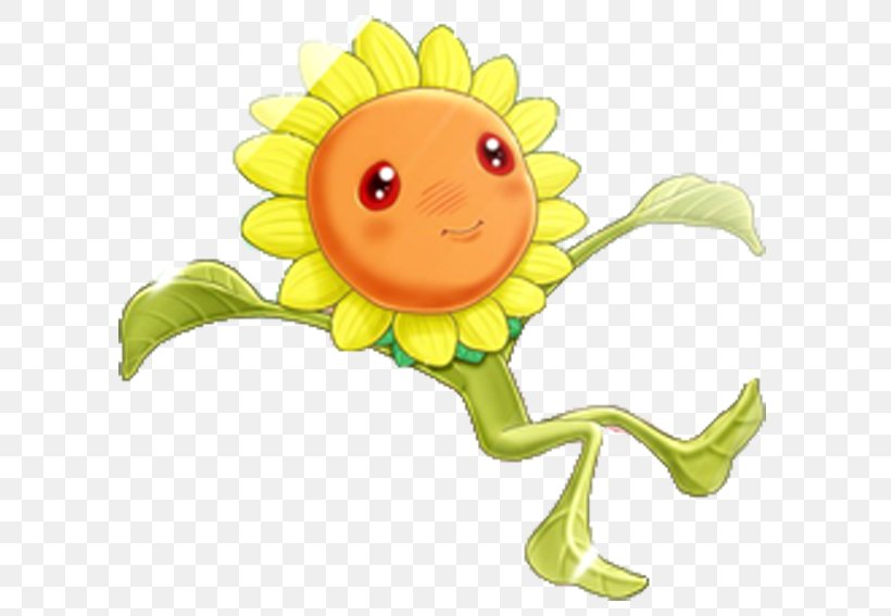 Sunflower M Clip Art Illustration Image, PNG, 619x567px, Sunflower M, Album, Art, Cartoon, Daisy Family Download Free