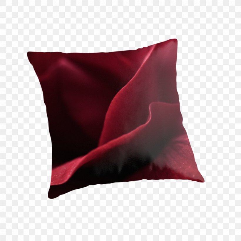 Throw Pillows Cushion Veni, Vidi, Vici Velvet, PNG, 875x875px, Throw Pillows, Aesthetics, Blog, Cushion, Flower Download Free