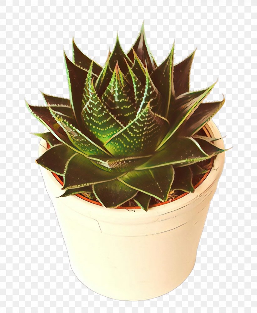 Aloe Vera Leaf, PNG, 1500x1827px, Cartoon, Agave, Agave Tequilana, Aloe, Aloe Vera Download Free