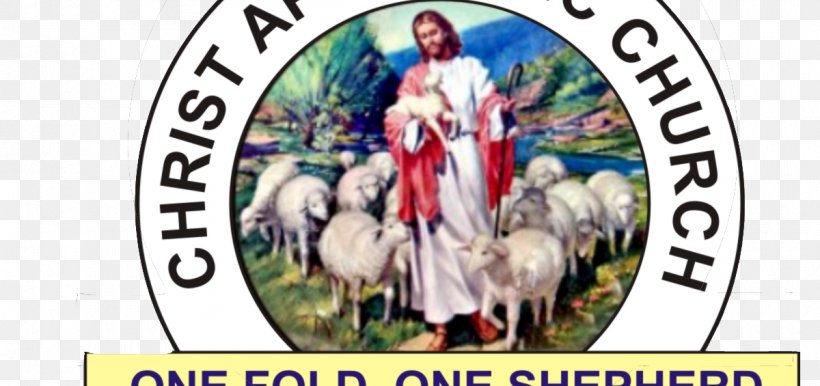 Christ Apostolic Church Christian Church Pentecostalism Christianity, PNG, 1200x565px, Christ Apostolic Church, Advertising, Apostle, Apostolic Church, Bible Study Download Free