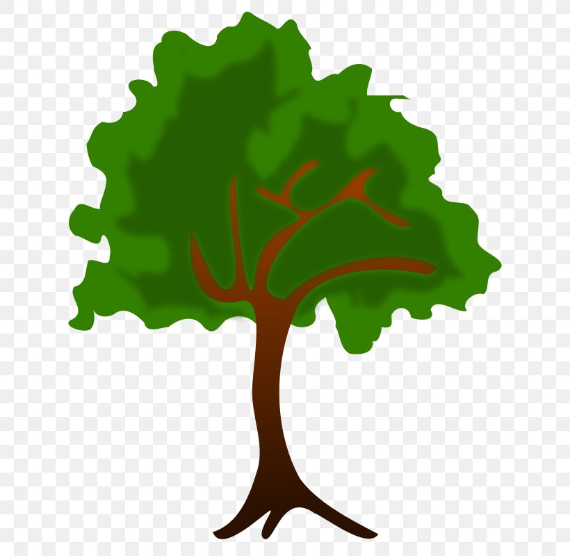 Nature Clip Art, PNG, 800x800px, Nature, Art, Drawing, Green, Landscape Download Free