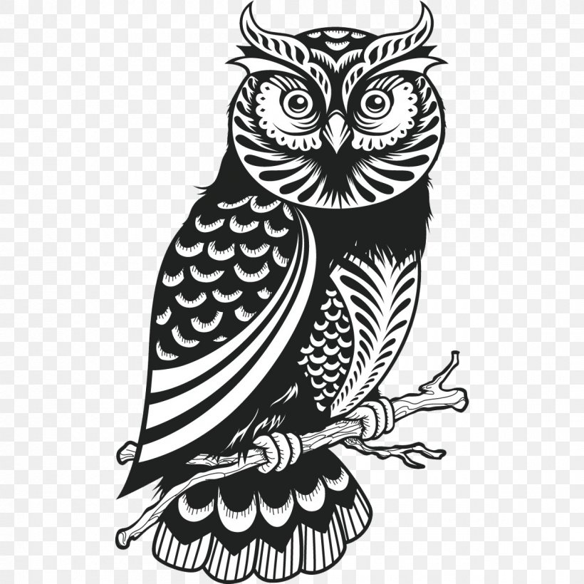 Owl Drawing Royalty-free, PNG, 1200x1200px, Owl, Art, Beak, Bird, Bird Of Prey Download Free